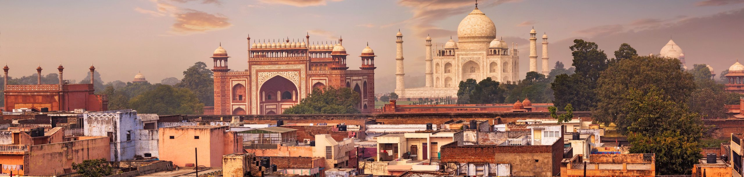 International Removal India