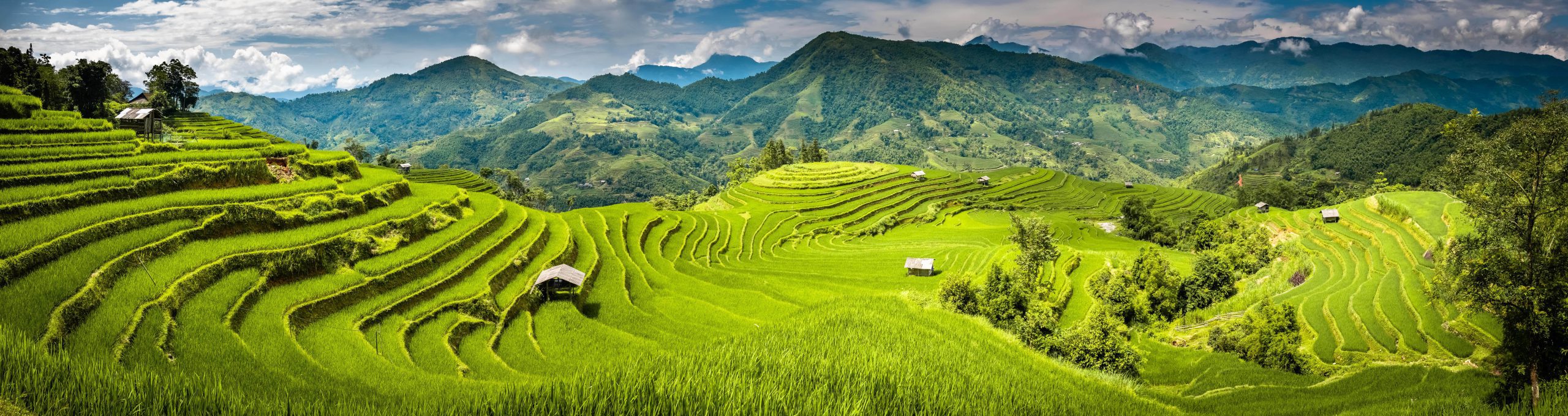 Mudanza Internacional Vietnam