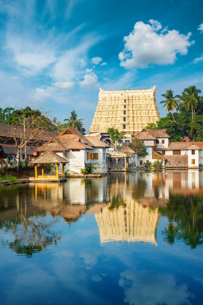 removals india